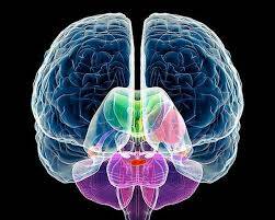 помощь психолога детям в Липецке фото 6 Услуги Липецк