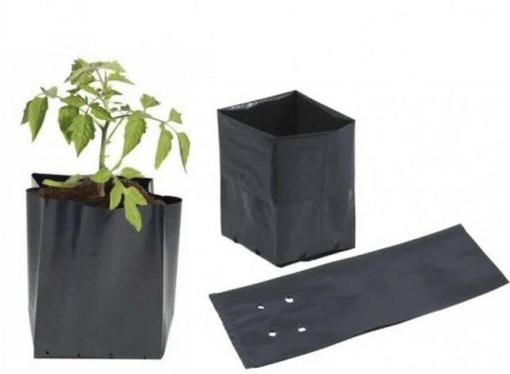 Пакеты для рассады всех размеров Пакеты для рассады всех размеров