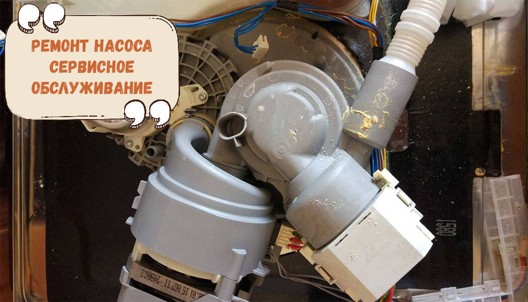 Ремонт стиральных машин и посудомоечных машин в Санкт-Петербурге фото 3 Услуги Санкт-Петербург Ремонт стиральных машин и посудомоечных машин в Санкт-Петербурге фото 3 Услуги Санкт-Петербург