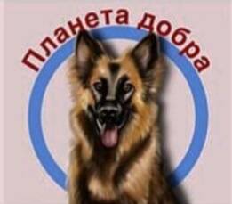 Приют для животных умоляет о помощи, неравнодушных людей