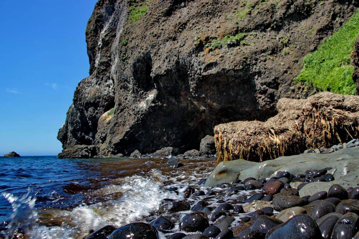 Экскурсионные туры по Сахалину в Южно-Сахалинске фото 2 Увлечения и отдых Южно-Сахалинск Экскурсионные туры по Сахалину в Южно-Сахалинске фото 2 Увлечения и отдых Южно-Сахалинск