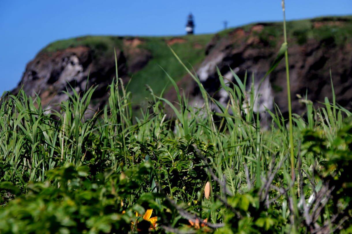 Экскурсионные туры по Сахалину