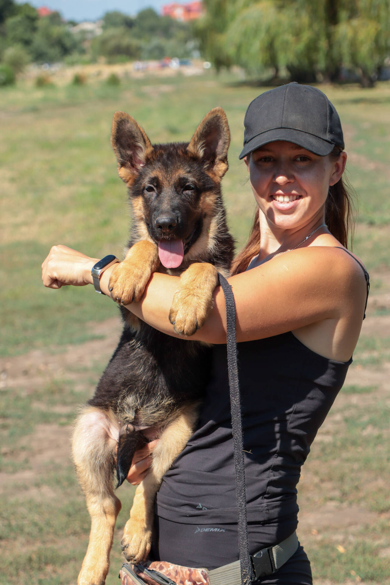 Щенки немецкой овчарки (кобели) 