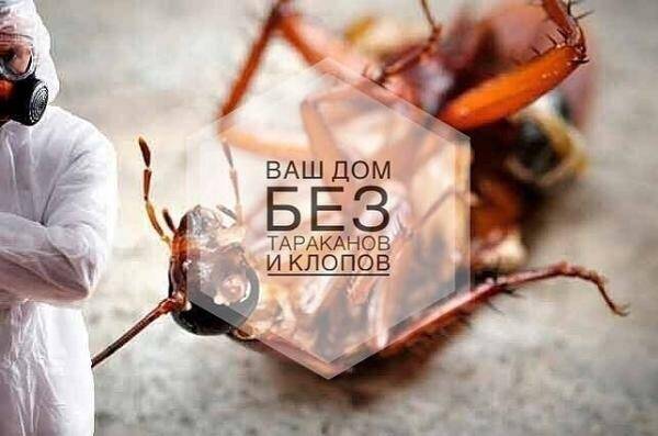 Уничтожение тараканов и клопов дезинфекция 