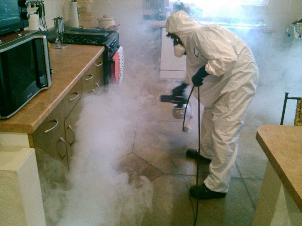 Уничтожение тараканов и клопов дезинфекция  в Ивантеевке (Московская область) фото 2 Услуги Ивантеевка (Московская область)