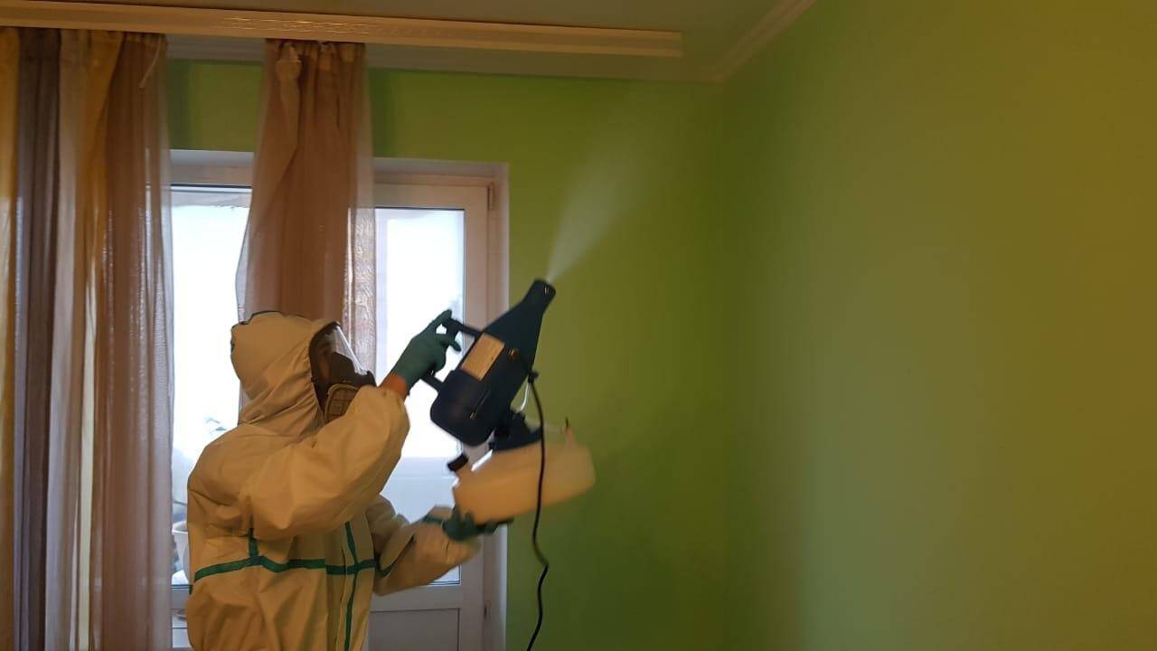 Уничтожение тараканов и клопов дезинфекция  в Ивантеевке (Московская область) фото 7 Услуги Ивантеевка (Московская область)