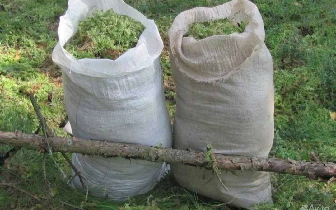 Мох сфагнум для сруба в Нижнем Новгороде фото 1 Для дома и дачи Нижний Новгород Мох сфагнум для сруба в Нижнем Новгороде фото 1 Для дома и дачи Нижний Новгород