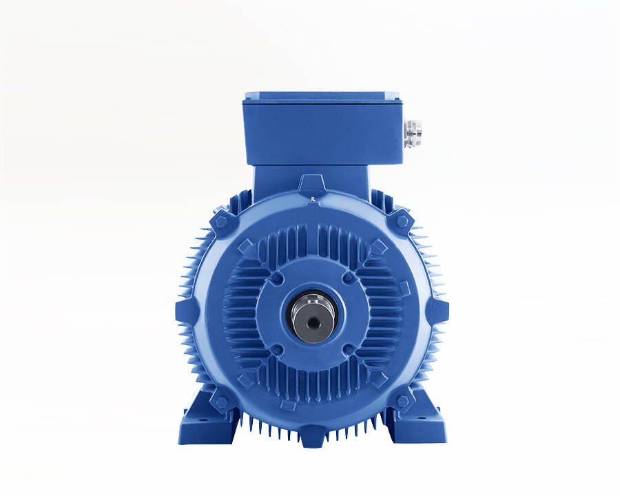 АДЧР электродвигатели и двигатели для частотного преобразователя в Новосибирске фото 2 Услуги Новосибирск