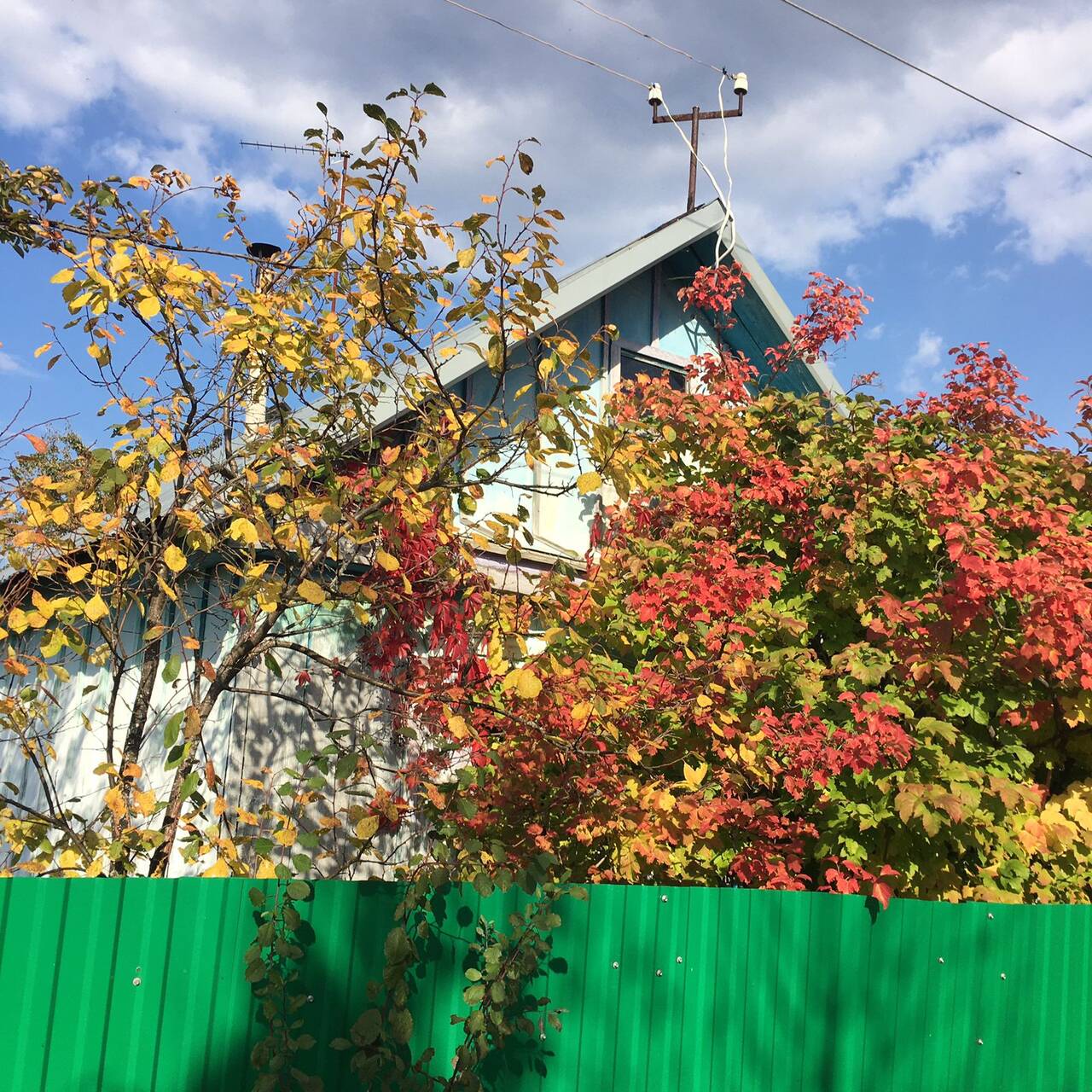 Сад в Уфе фото 2 Недвижимость Уфа