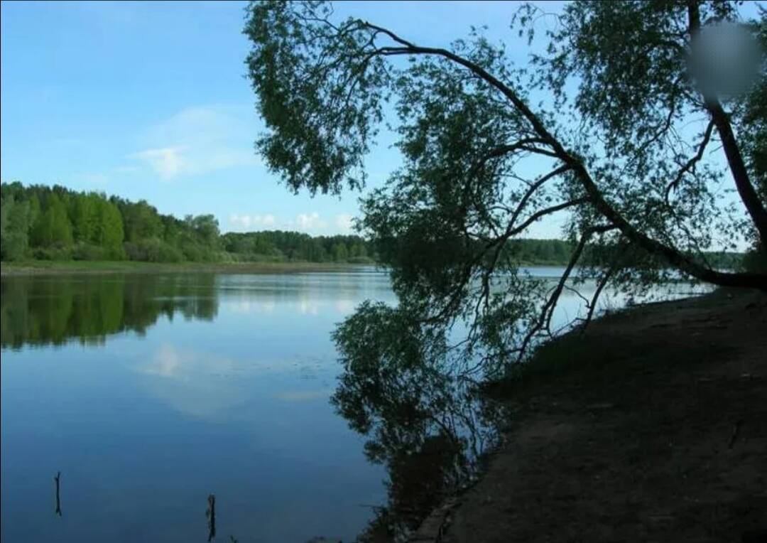 Продажа земельных участков в Красногорске (Московская область) фото 3 Недвижимость Красногорск (Московская область)