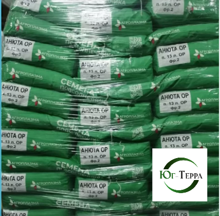 Семена гибридов подсолнечника под Экспресс и Евролайтнинг