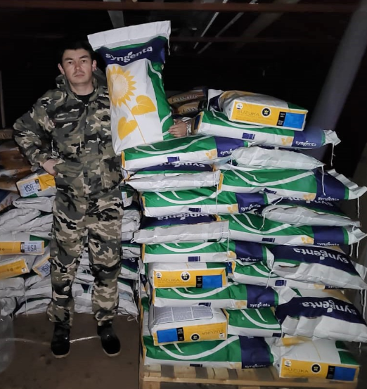 Семена гибридов подсолнечника под Экспресс и Евролайтнинг в Шахтах фото 2 Для дома и дачи Шахты Семена гибридов подсолнечника под Экспресс и Евролайтнинг в Шахтах фото 2 Для дома и дачи Шахты