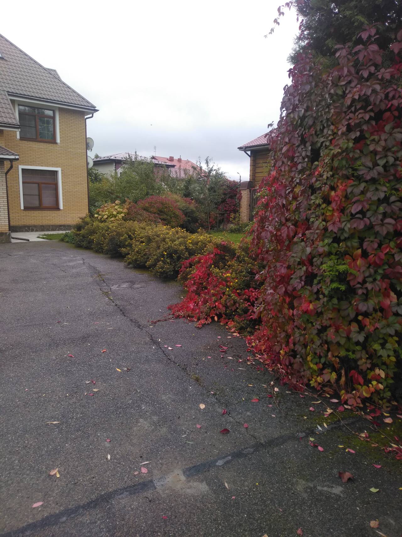 Продается коттедж в Санкт-Петербурге фото 4 Недвижимость Санкт-Петербург