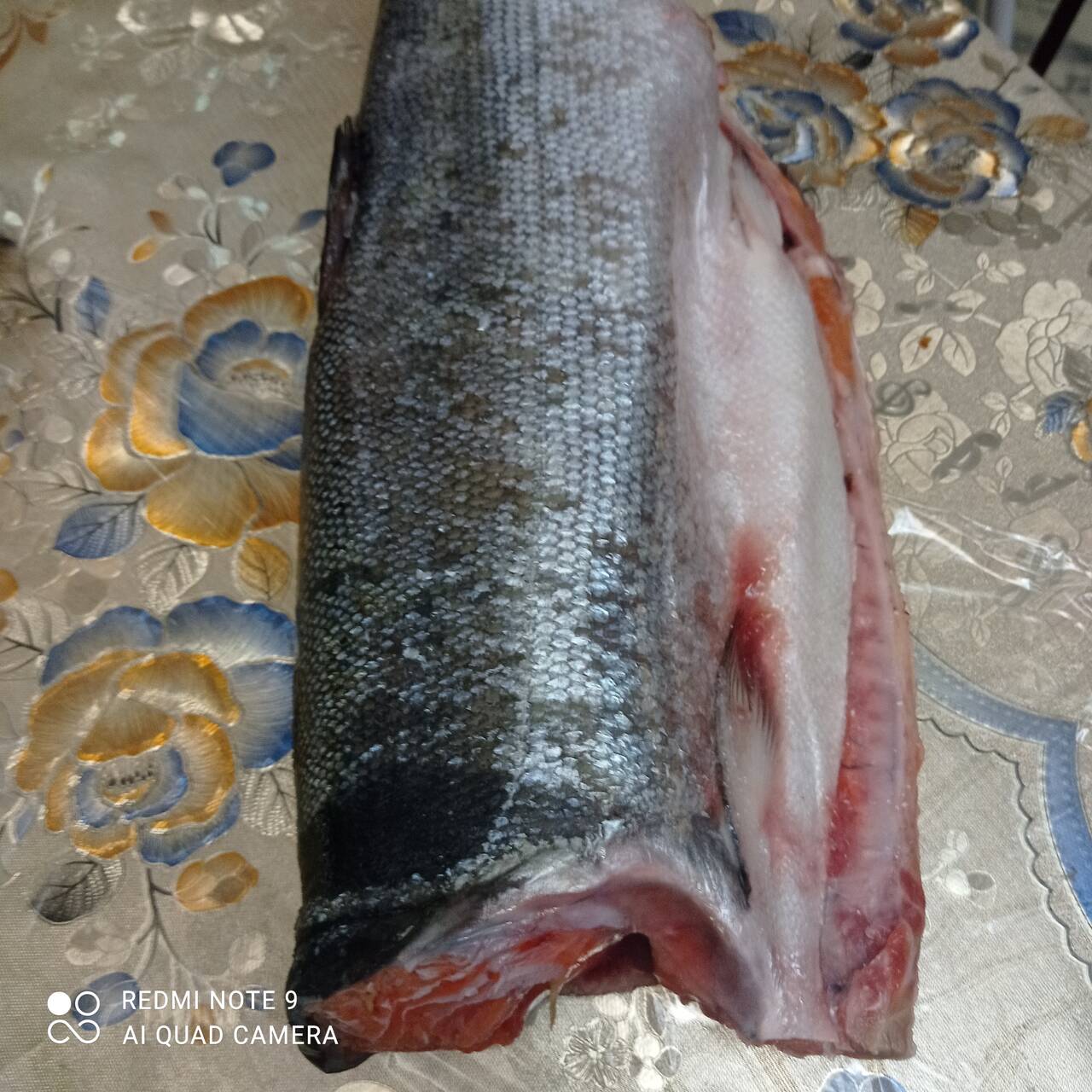 РЫБА СВЕЖЕМОРОЖЕННАЯ МОРСКАЯ РЕЧНАЯ БОЛЬШОЙ АССОРТИМЕНТ в Томске фото 6 Продукты питания Томск