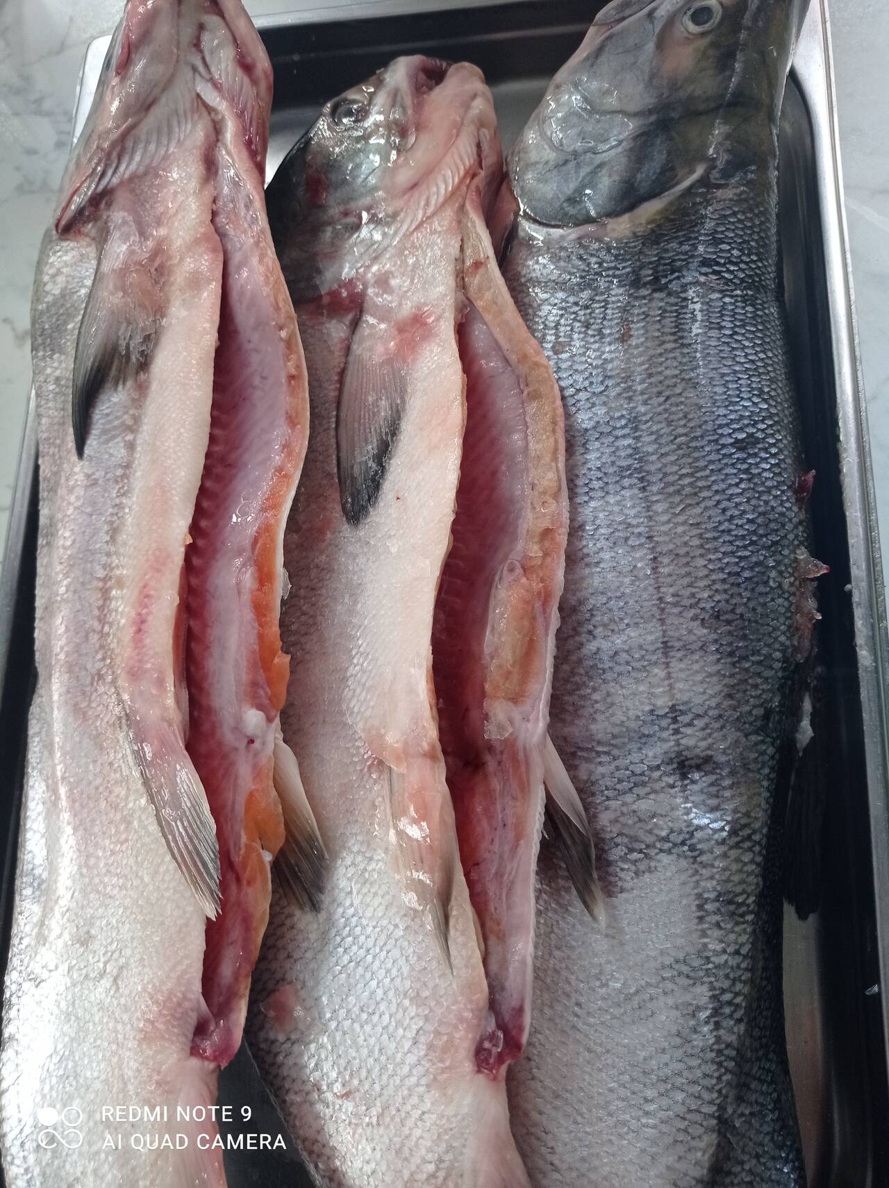 РЫБА СВЕЖЕМОРОЖЕННАЯ МОРСКАЯ РЕЧНАЯ БОЛЬШОЙ АССОРТИМЕНТ в Томске фото 3 Продукты питания Томск