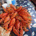 ЖИВЫЕ АЛТАЙСКИЕ РАКИ 1200 в Томске фото 1 Продукты питания Томск