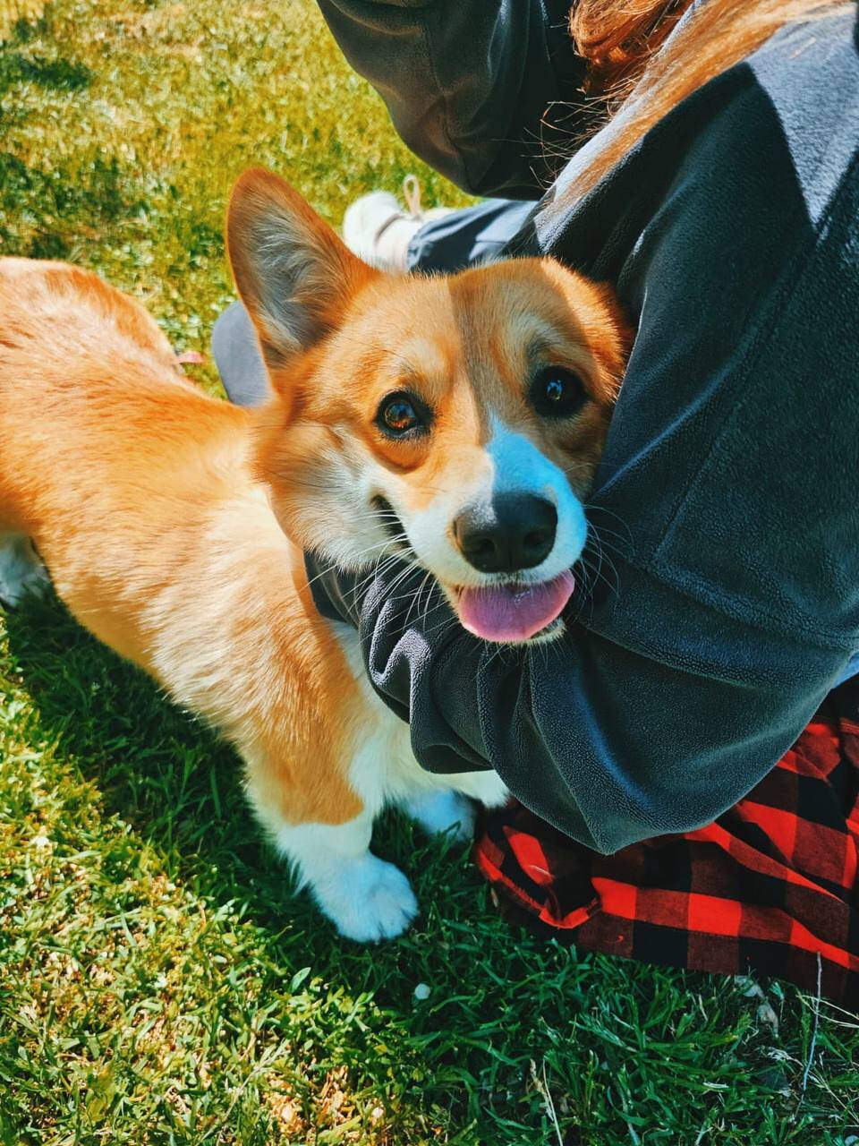 Изображение владельца объявления