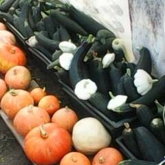 Изображение владельца объявления