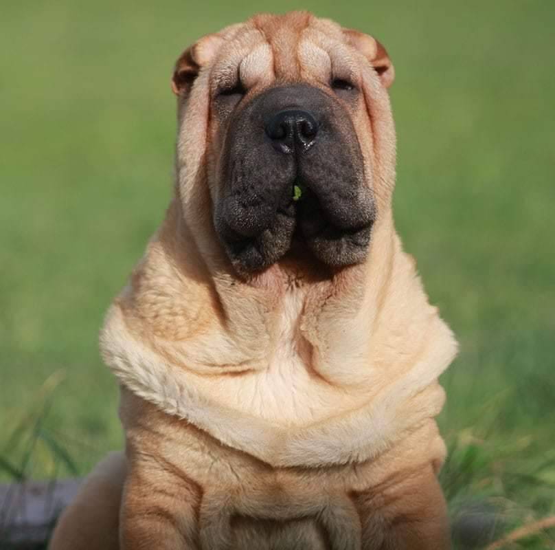 Изображение владельца объявления