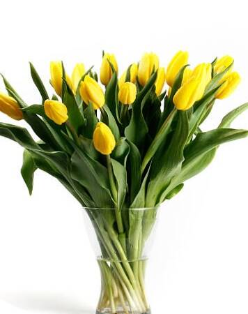 Изображение владельца объявления