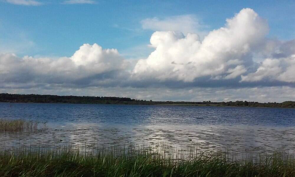 Изображение владельца объявления