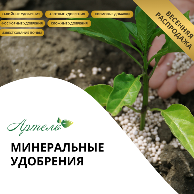 Изображение владельца объявления