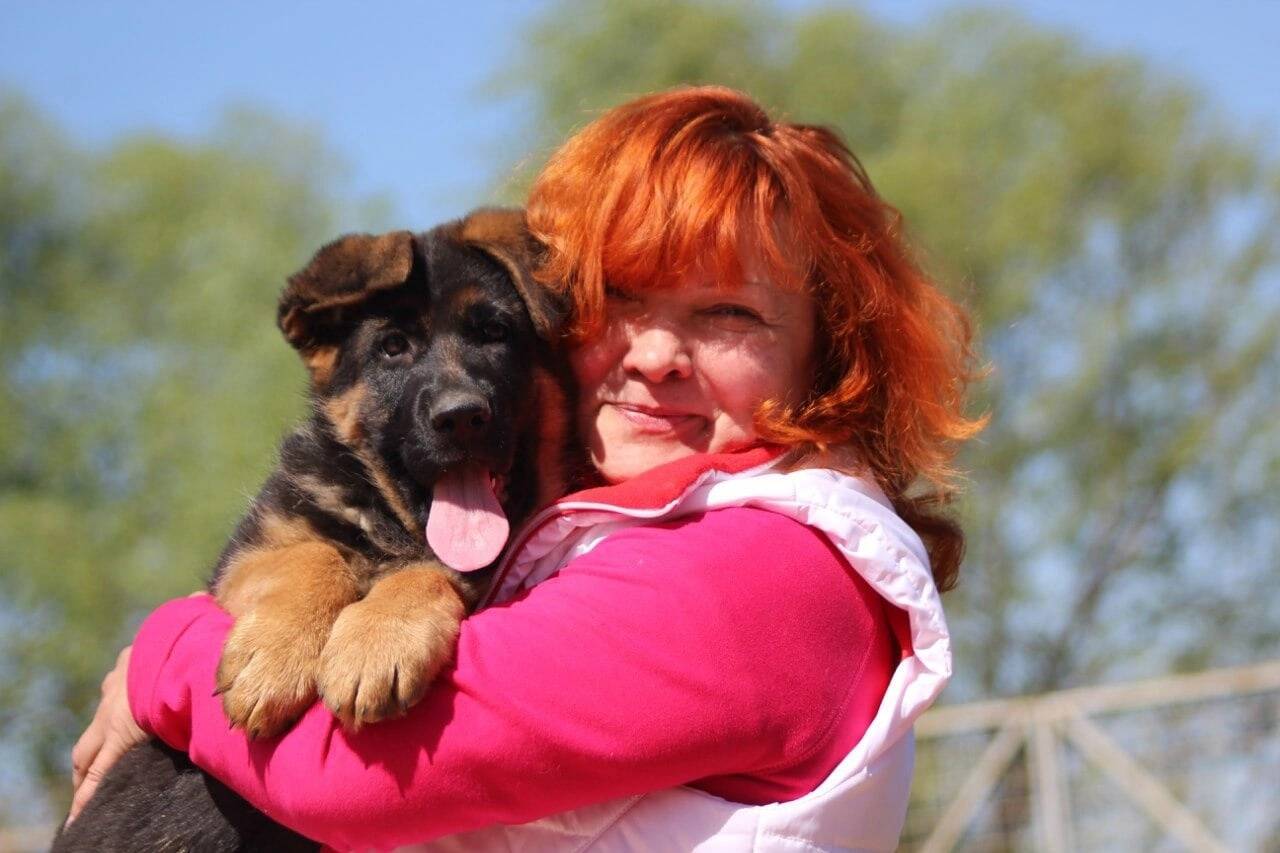 Изображение владельца объявления