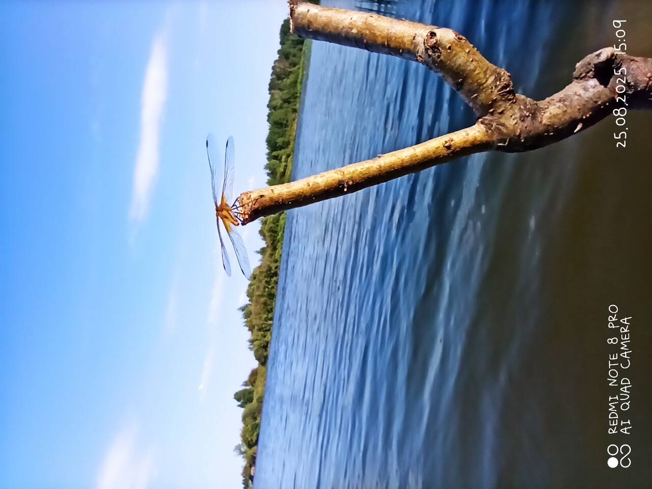 Изображение владельца объявления