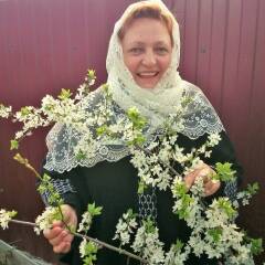 Изображение владельца объявления