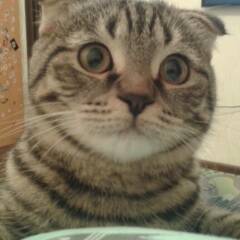 Изображение владельца объявления