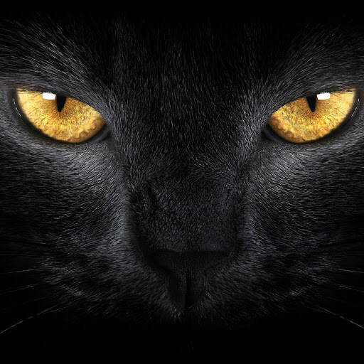 Изображение владельца объявления