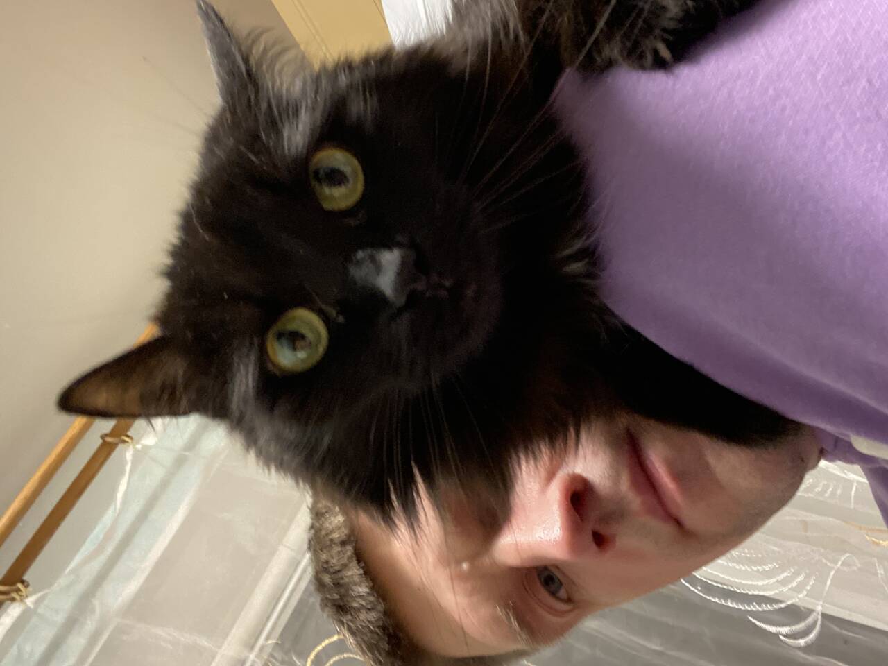 Изображение владельца объявления