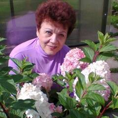 Изображение владельца объявления