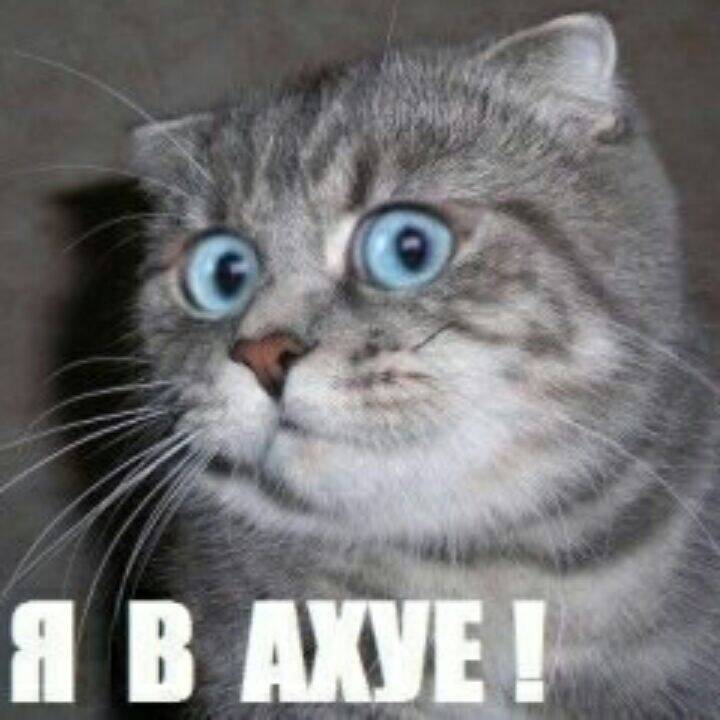 Изображение владельца объявления