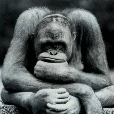 Изображение владельца объявления