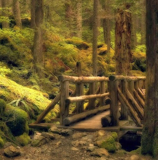 Изображение владельца объявления