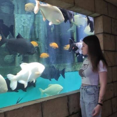 Изображение владельца объявления