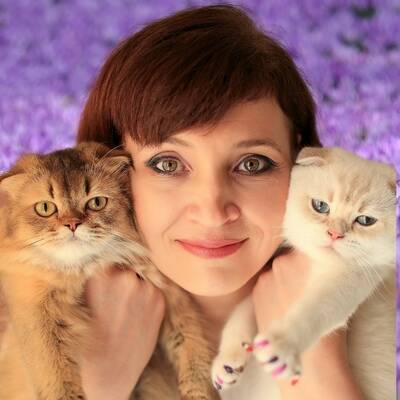 Изображение владельца объявления