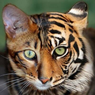 Изображение владельца объявления