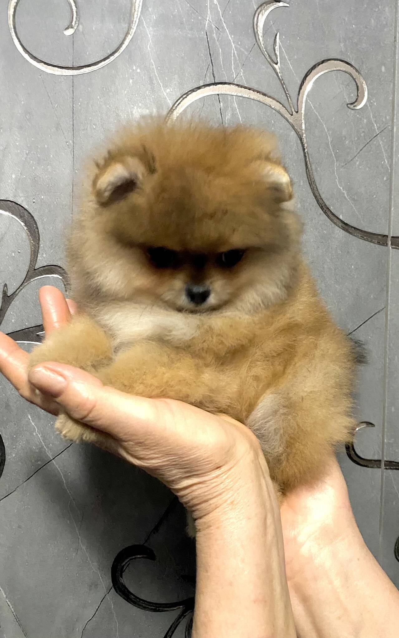 Изображение владельца объявления