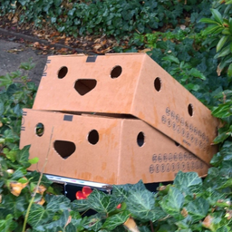 Изображение владельца объявления