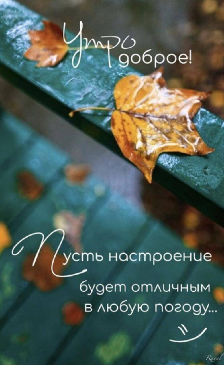 Изображение владельца объявления