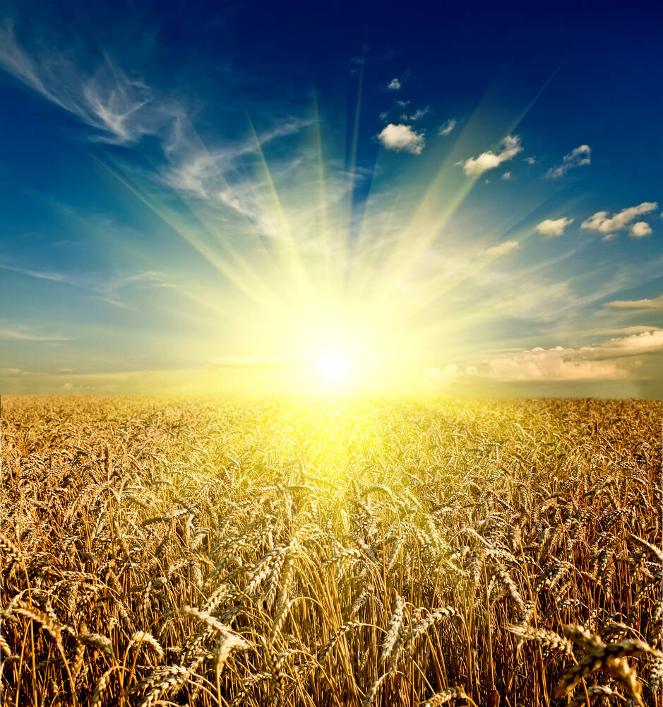 Изображение владельца объявления