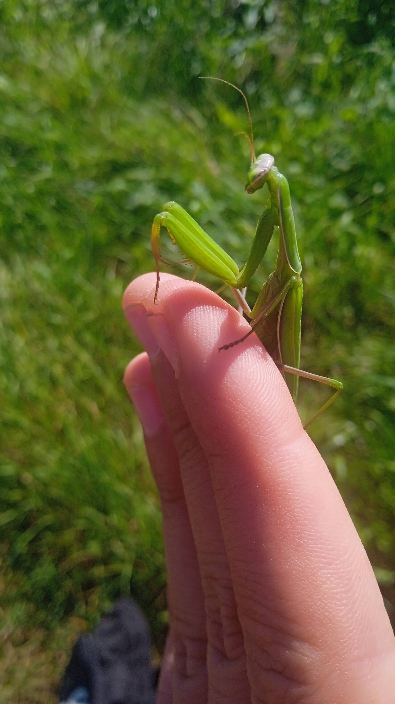 Изображение владельца объявления