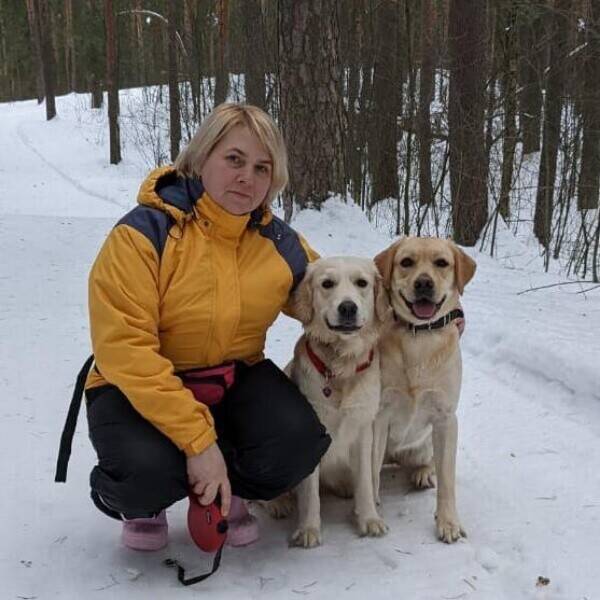 Изображение владельца объявления