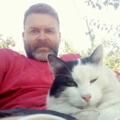 Изображение владельца объявления