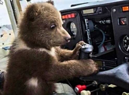 Изображение владельца объявления