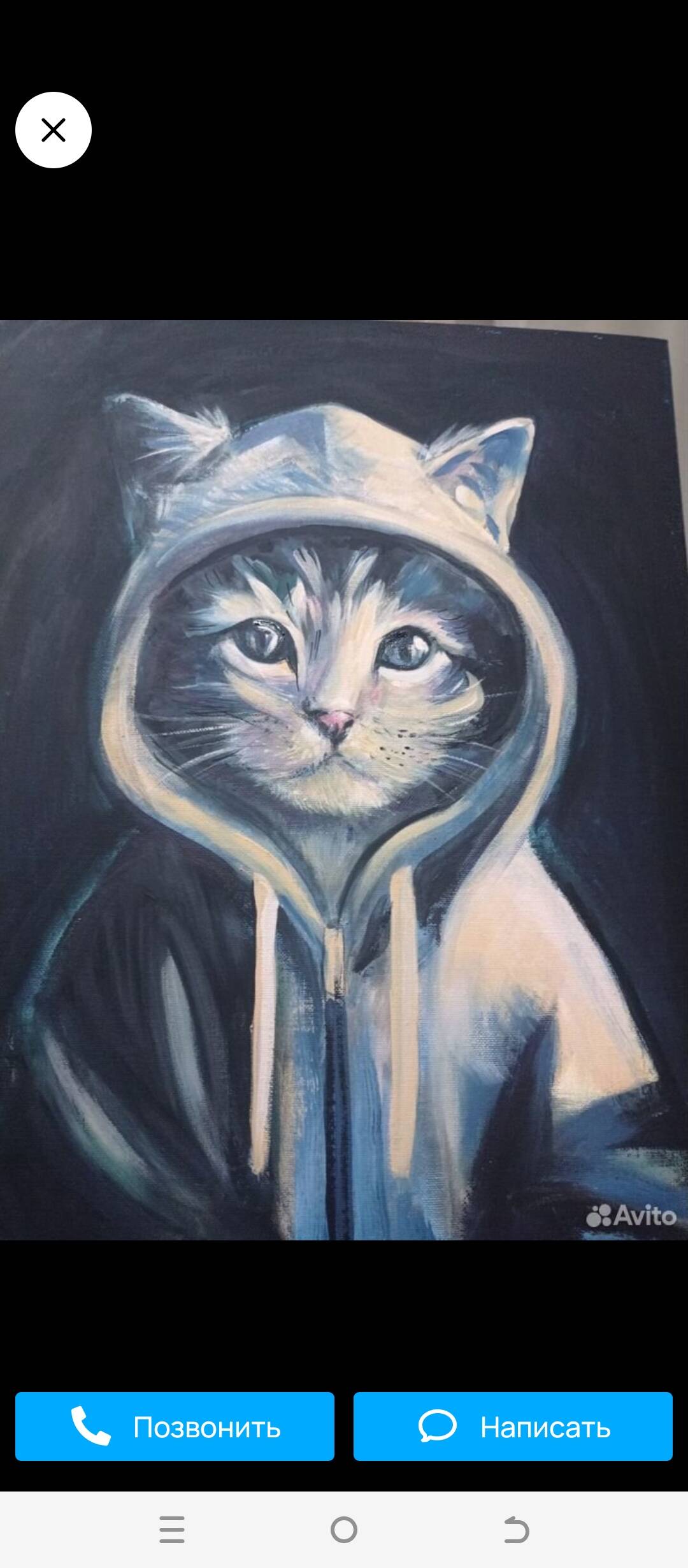 Изображение владельца объявления