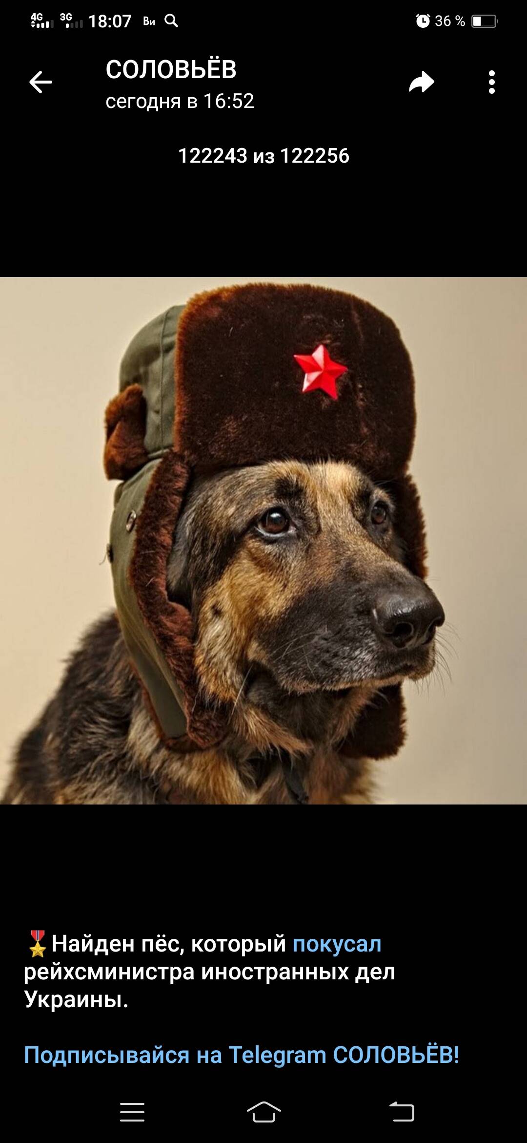 Изображение владельца объявления
