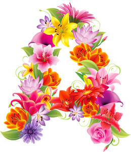 Изображение владельца объявления